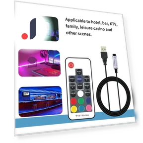 RGB LED Controller with Remote — LED Strips, JadeBamboo Chargers Warehouse