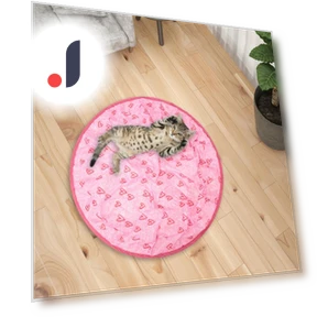 Interactive Cat Toy with USB Charging — Cat Playthings, Actually lighting