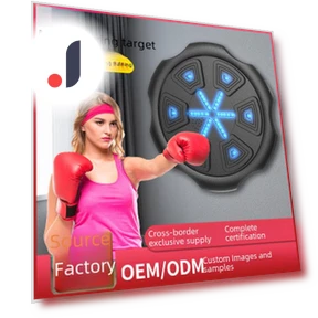 Smart Music Boxing Wall Target — Boxing Training Gear, Apex Gear
