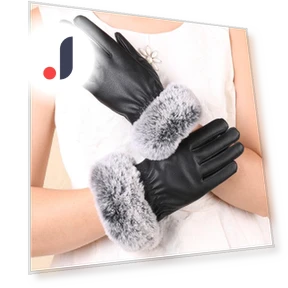 Winter Gloves with Touchscreen — Gloves, Got Now