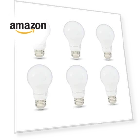 A19 LED Light Bulbs — LED, Amazon Basics