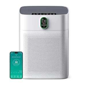 Air Purifier for Large Rooms — Air Purifier, EZBASICS