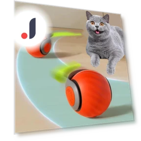 Interactive Pet Toy Ball — Cat Playthings, Household supplies MH