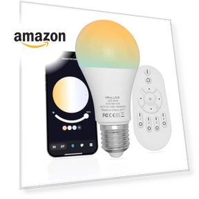 LED Remote Control Light Bulbs — LED, ORALUCE