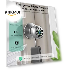 Smart Door Knob Lock — Locks, WREO