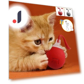 Automatic Rolling Ball for Cats — Cat Playthings, YJMP Top