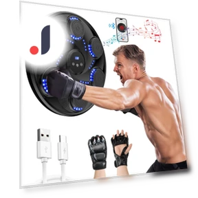 Bluetooth Music Boxing Wall Target — Fitness & Activity Monitors, Holland Ham