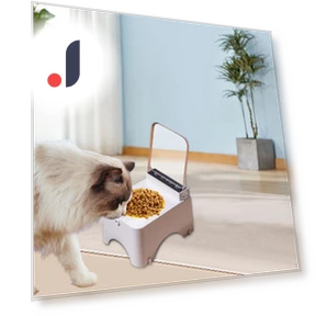 Elevated Cat Food Bowl with Stand — Feeding Supplies, Closet of Beauty
