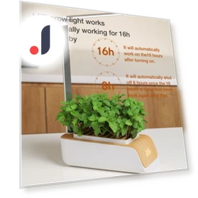 Hydroponic Growing System — Germination Kits, RUI RUI YU 6