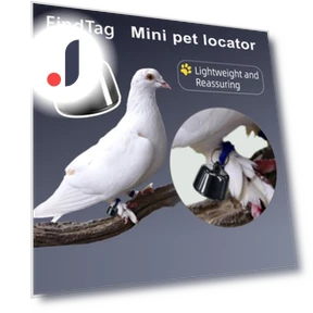 Smart Pet Collar — Trackers, Power Up Zone
