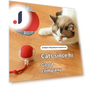 Electric Cat Toy Ball — Cat Playthings, Happy daily purchase