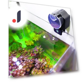 Smart Aquarium Fish Feeder — Feeders, Naituo