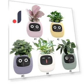 Smart Plant Pot — Controllers, Good Household Items