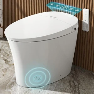 Smart Toilet with Bidet, SR SUN RISE