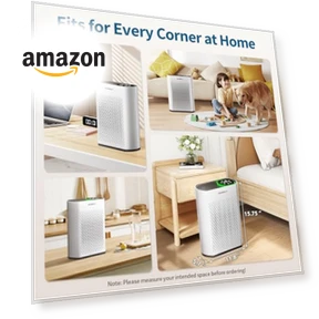 Air Purifier for Large Rooms — Activated Carbon Air Purifiers, ECOSELF