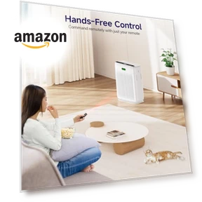 Large Room Air Purifier — Activated Carbon Air Purifiers, AMEIFU