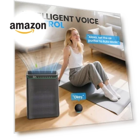 Smart Air Purifier — Activated Carbon Air Purifiers, FLANUR
