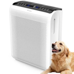 Air Purifier for Large Rooms — Air Purifier, AROEVE