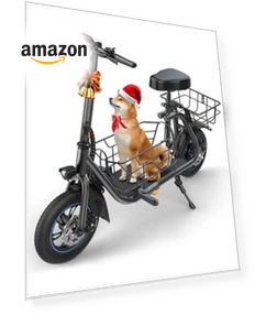 Electric Scooter with Seat — Electric Self-Balancing Scooters, Gyroshoes