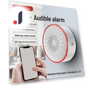 Graffiti Smart WiFi/ZigBee Sound and Light Alarm Sensor — Smart Home Security, TrendVibeCN