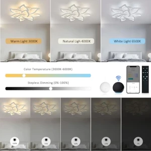 Smart Ceiling Light Fixture, SKY ANGLE