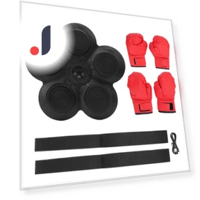 Smart Musical Boxing Trainer with Wall Target — Boxing Training Gear, Fishine