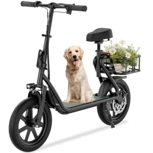 Electric Scooter — Electric Scooter, Roinside