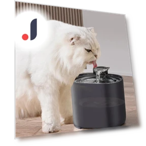 Automatic Circulating Filter Fountain for Pets — Fountains, Darling Home