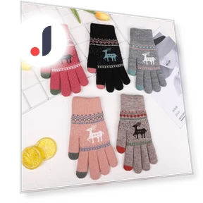 Double-Layered Thickened Velvet Winter Warm Gloves with Touchscreen — Gloves, Outdoor Boutique TOP