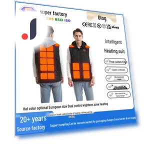 Smart Heated Vest with Removable Hood — Men's Vests, BigSopping