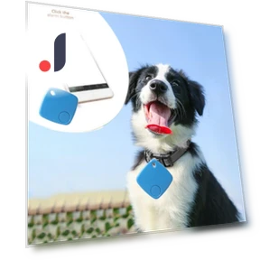 Mini Pet Locator with Loss Protection — Item Locators, JIOUjitang