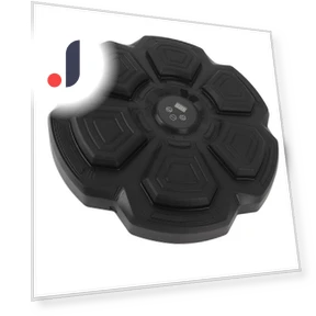 Smart Bluetooth Music Boxing Trainer — Boxing Training Gear, Beauty1
