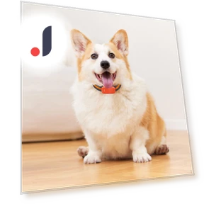 Portable Smart GPS Dog Collar — Trackers, Love DIY