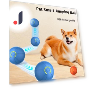 Rechargeable Smart Ball for Dogs — Balls, Renran