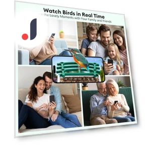 Smart Bird Feeder with Camera — Outdoor & Wildlife Cameras