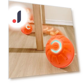 Interactive LED Ball Toy for Dogs — Balls, Jianshen