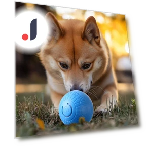 Self-driving Jumping Ball — Automatic Launchers, Pet park