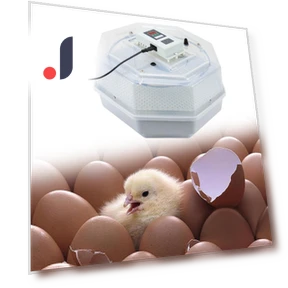 Smart Automatic Egg Incubator — Egg Trays, Colorful summer