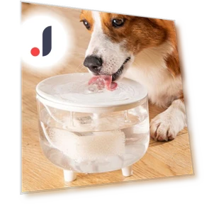 Automatic Pet Water Fountain — Fountains, Pet park