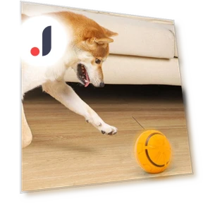 Electric Rolling Ball Toy for Dogs — Automatic Launchers, Pet park