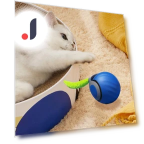 Interactive Cat Toy Ball — Cat Playthings, Pet park