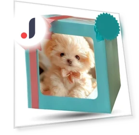 Robot Dog — Interactive Animal Companions, Japan Zen Mall