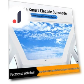 Smart Electric Roof Sunshade — Curtains, Discount Domain