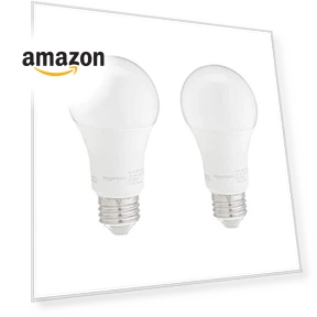 A19 LED Light Bulbs — LED, Amazon Basics