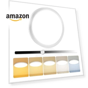 LED Flush Mount Ceiling Light — Overhead Lighting, EOSMILE