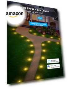 Outdoor Ground Lights — Outdoor Security & Flood Lighting, Brizled