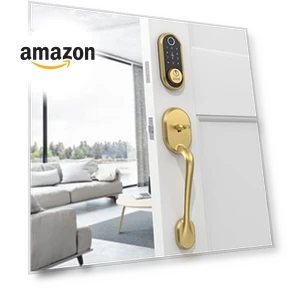 Smart Deadbolt Keypad Front Door Lock with Handle — Smart Home Security, SMONET