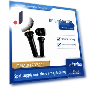 Car-Mounted Tire Pressure Sensor — Brake Wear, Discount Domain