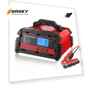 Universal Intelligent Pulse Repair Battery Charger — Chargers, DMD