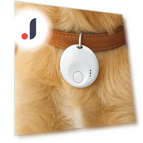 Message Reminder Pet Smart GPS Tracker Mini Pet Locator Portable Find My Device Tracker Backpack — Location Tracking Devices, Cmjyrtye